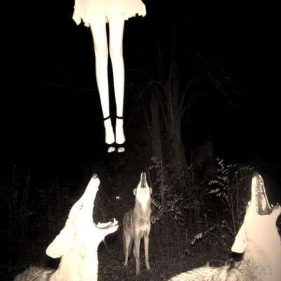 culled - Single