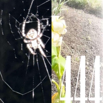 GET OUT OF MY ROOOOOOOM MOOOMMM (feat. jxstRicco) - Single