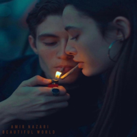 Beautiful World - Amir Nazari Cover Art