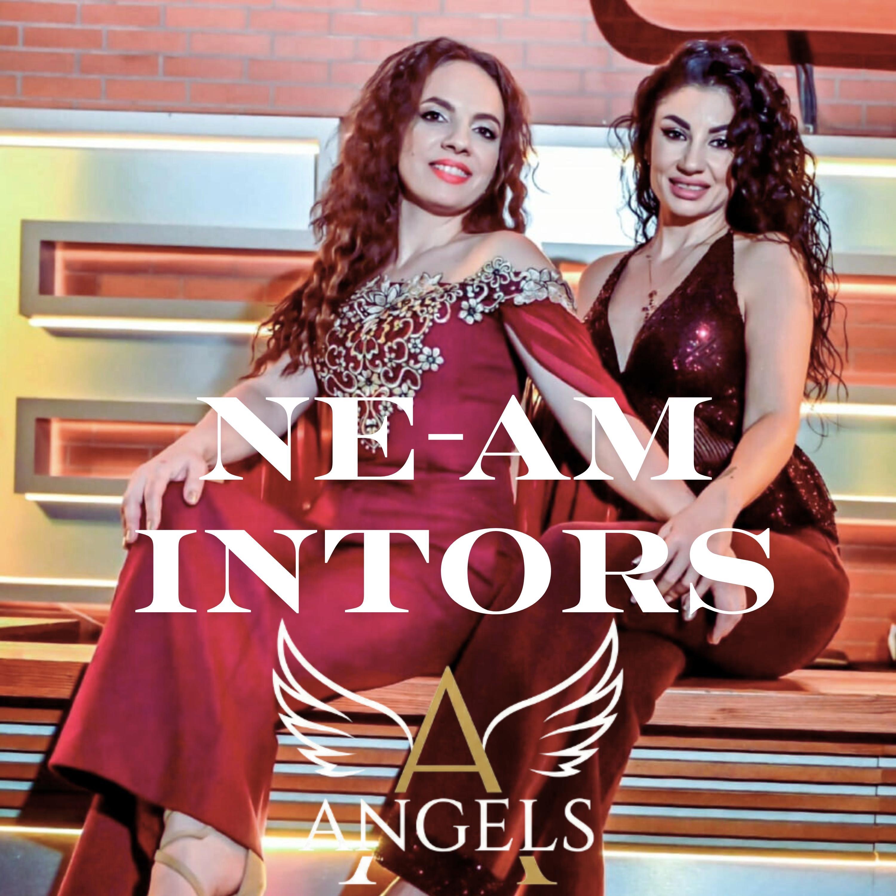 Ne-am Intors - Single