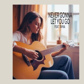 Never Gonna Let You Go (feat. Tayka) Timdek
