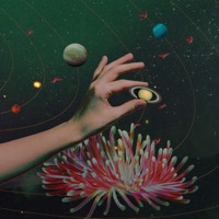 Meadows in the Sky - Single - MZERA & SHOPENIII