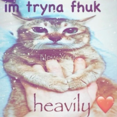 cabin in the woods (feat. Lostallhope201082) - Single