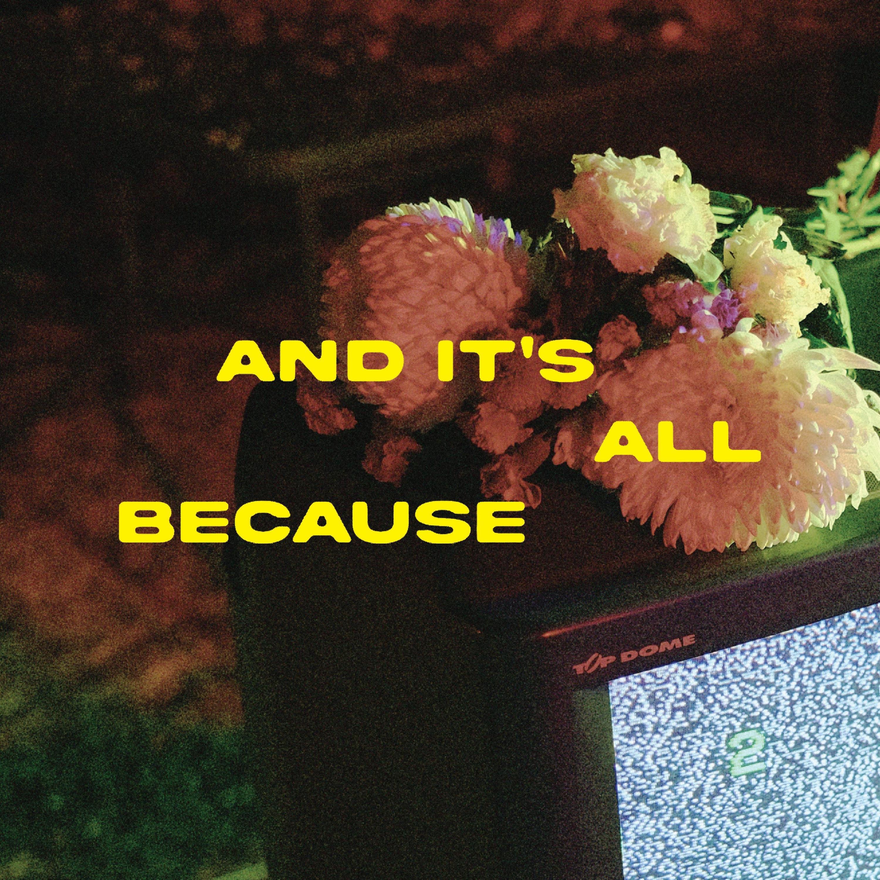 AND IT'S ALL BECAUSE - Single