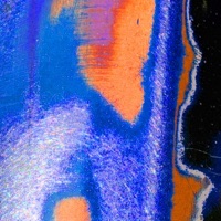 OCEAN (feat. Mo'Dali) - Single - Coastal