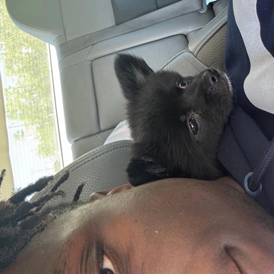 tygRR (feat. K1, Poppa Gretzky & 800) - Single