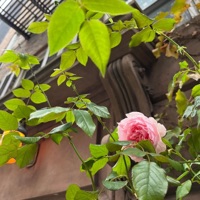 Crystal Eyes (feat. Turbo Goth) [boymanhattan remix] - Single - boymanhattan