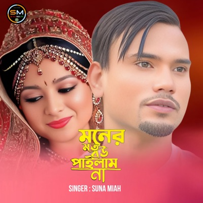 Moner Moto Bou Pailam - Single