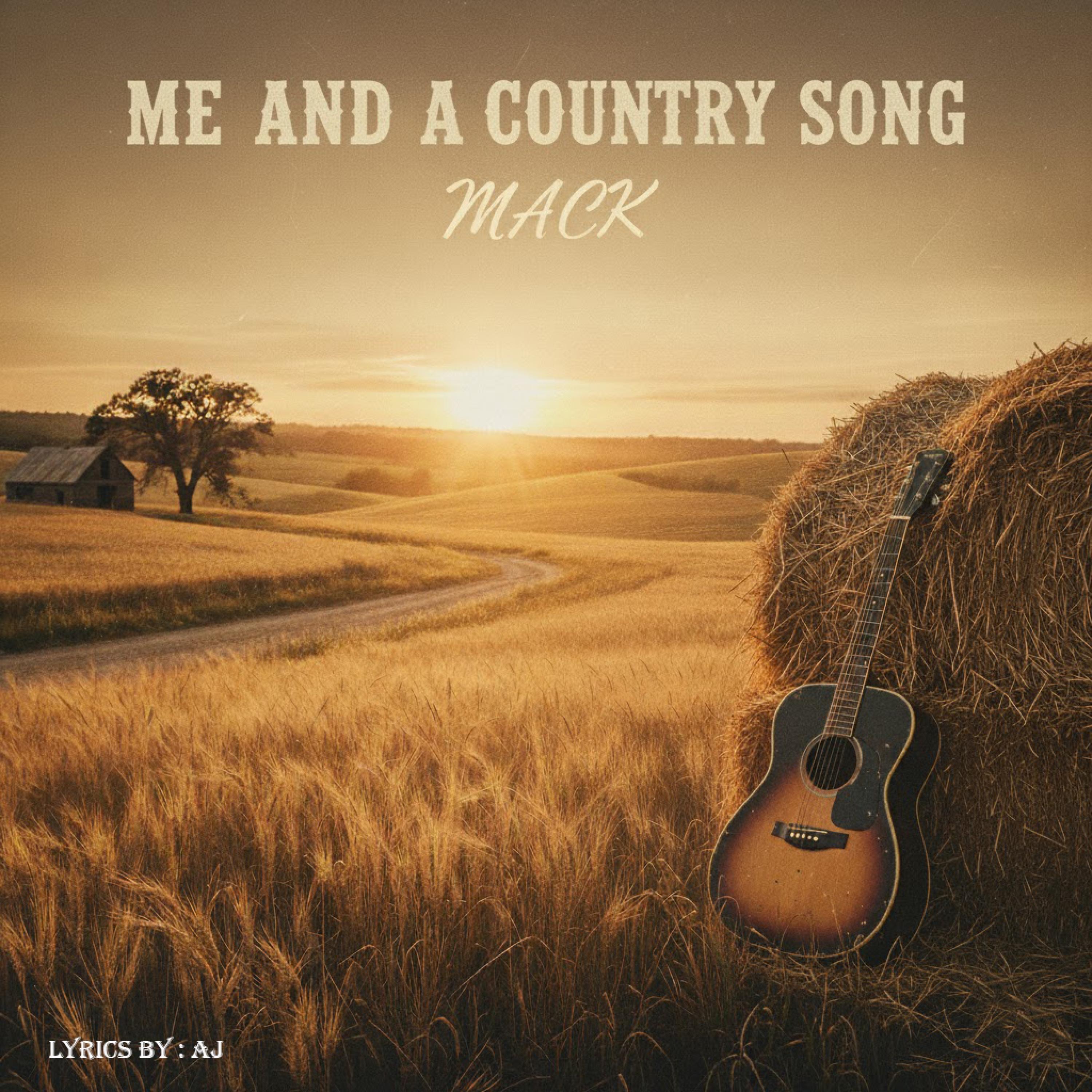 Me and a Country Song - Single