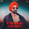 Kya Haal Hai Unka - Single