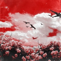 Полет окончен - Single - ПОЛ ПУНШ