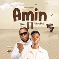 Amin (feat. Edem) - Single - Nature Drip