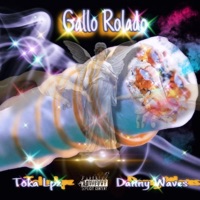 Gallo Rolado (feat. Toka Lpz) - Single - Danny Waves