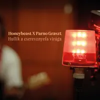 Hullik a cseresznyefa virága — Honeybeast, Parno Graszt