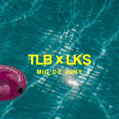 MIG DE JUNY (feat. Mik's on da mic & Witty) - Single