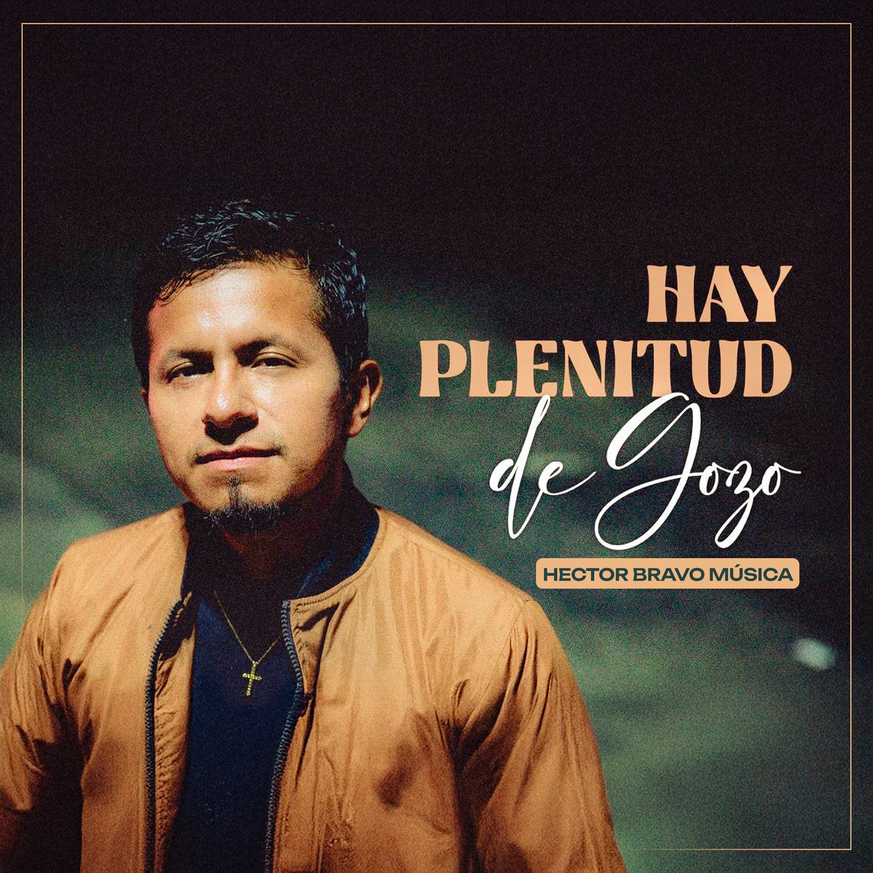 Hay Plenitud de Gozo - Single