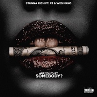 Are You That Somebody (feat. AintDat3zy & Wes Mayo) - Single - Stunna Rich & P3