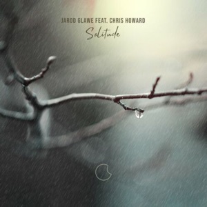 Solitude (feat. Chris Howard) - Single
