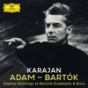 Shirley et Dino Brandenburg Concerto No. 1 in F Major, BWV 1046: I. [Allegro] [Recorded 1964] Karajan A-Z: Adam - Bartók