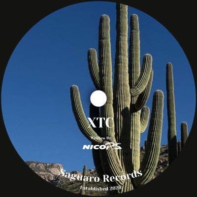 XTC - Single