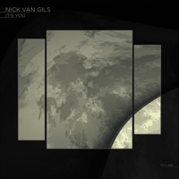 It's You - Single - Nick van Gils