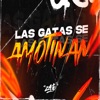Zato DJ - SI LA GATA SE AMOTINAN