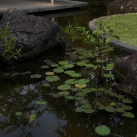 cant you tell? (feat. riensu) - Single - rxi