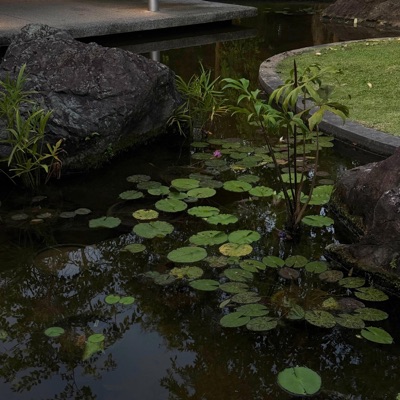 cant you tell? (feat. riensu) - Single