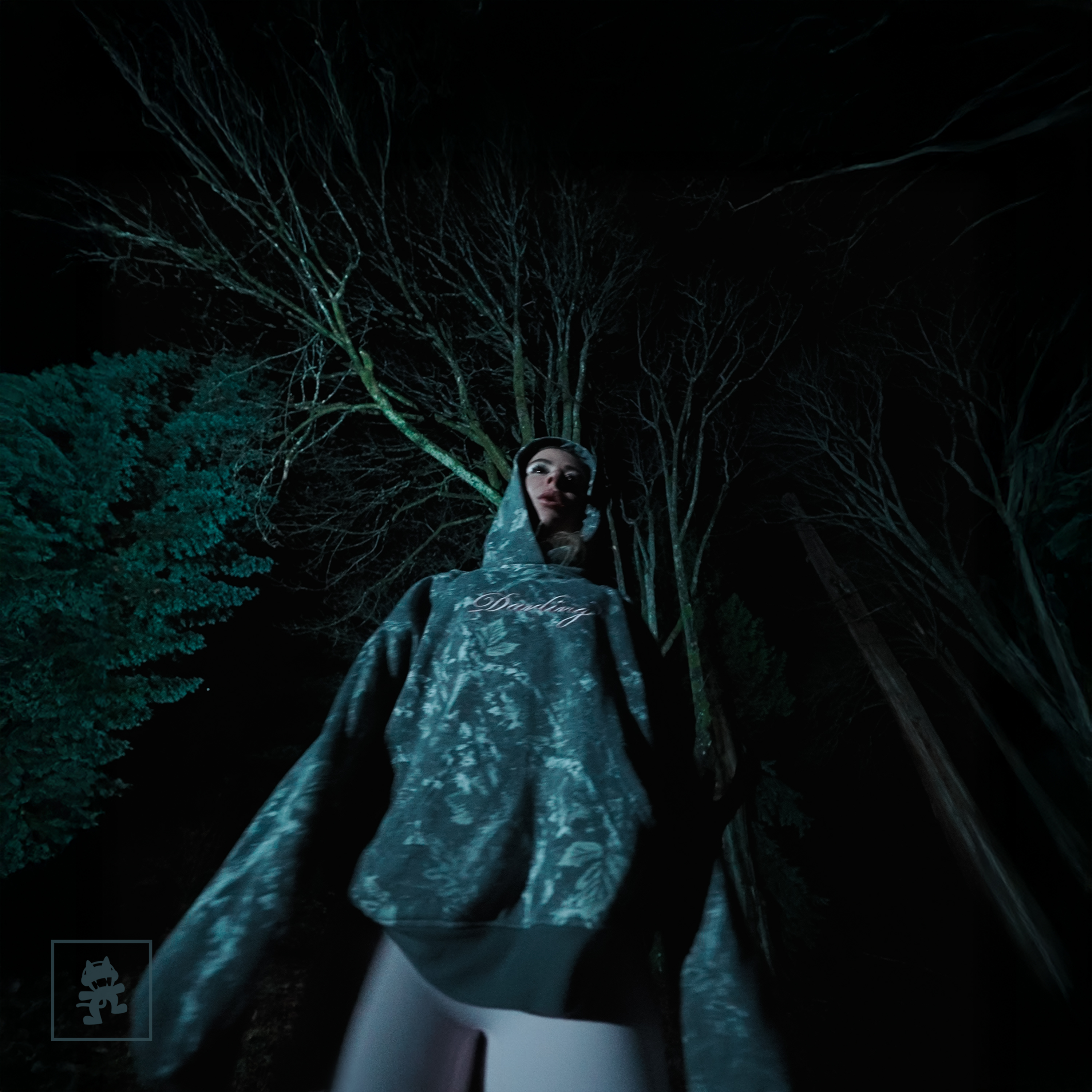 WHIPPED CREAM - it's time to go home