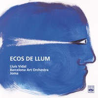I. Ecos de llum - Single - Lluís Vidal & Barcelona Art Orchestra