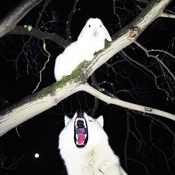 Wolves