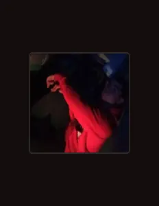 palardoを聴いたり、ミュージックビデオを鑑賞したり、経歴やツアー日程などを確認したりしましょう！