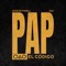 PAP (Pendiente Al Paso) - Euan Ralph, Dave Ruthwell & SGX lyrics
