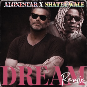 Dream Remix (feat. Shatta Wale)