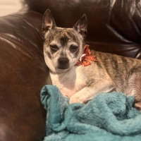 Unreleased - Single - DJundercover