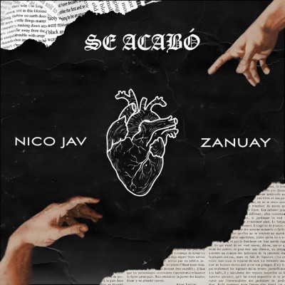 Se acabó (feat. NicoJav) - Single