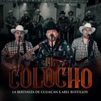 El Colocho (En Vivo) - Single - La Bertiniza De Culiacan & Abel Bustillos