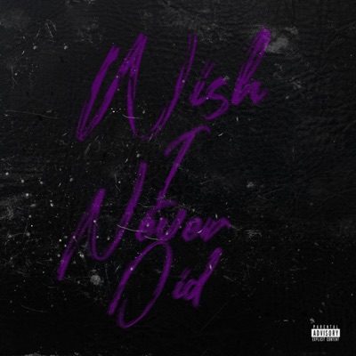 Wish I Never Did (feat. Jayoah!) - Single