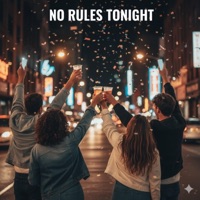 No Rules Tonight - Single - DJ Too Coool