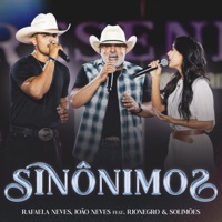 Sinônimos (feat. Rionegro & Solimões) - Single - João Neves & Rafaela Neves