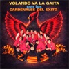 Cardenales del Exito - A la Feria