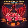 Cardenales del Exito - A la Feria