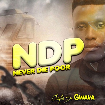 Ndp(Never Die Poor) - Single