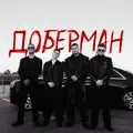 Доберман