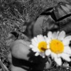 الْقَاسِمِي - انشروا البشرى