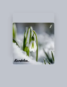 Fonhaneを聴いたり、ミュージックビデオを鑑賞したり、経歴やツアー日程などを確認したりしましょう！