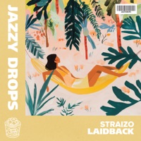 Laidback - Single - Straizo