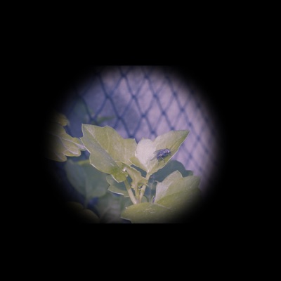 intenso - EP