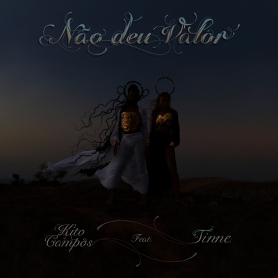 Não Deu Valor (feat. Tinne) - Single