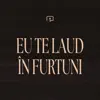 Eu Te laud in furtuni